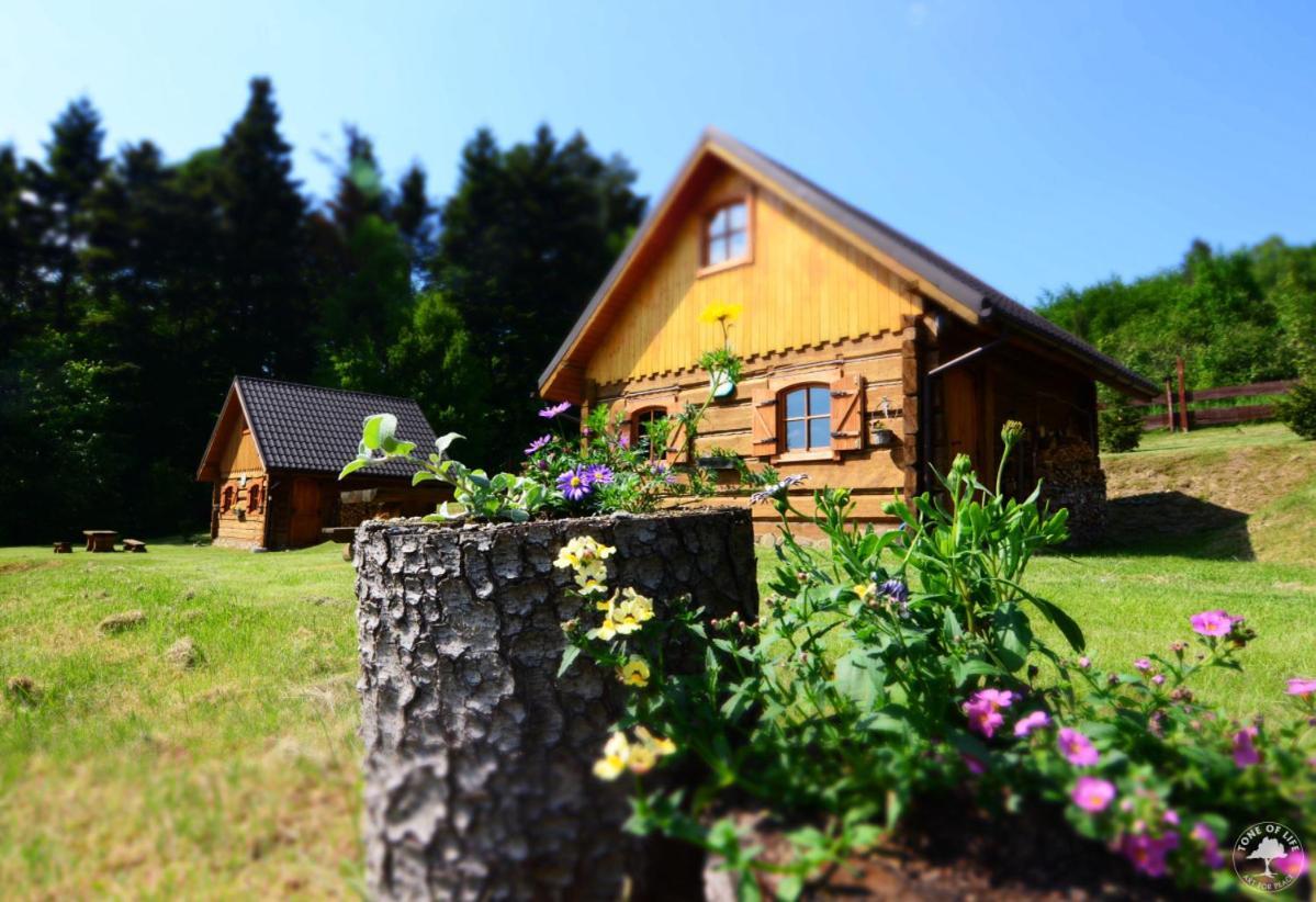 Osada Jelonki Wielka Puszcza Holiday home Porabka