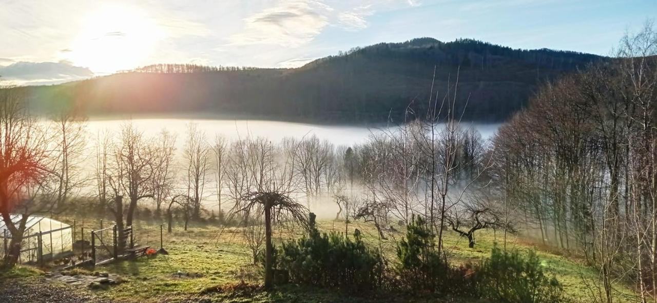 Osada Jelonki Wielka Puszcza Porabka