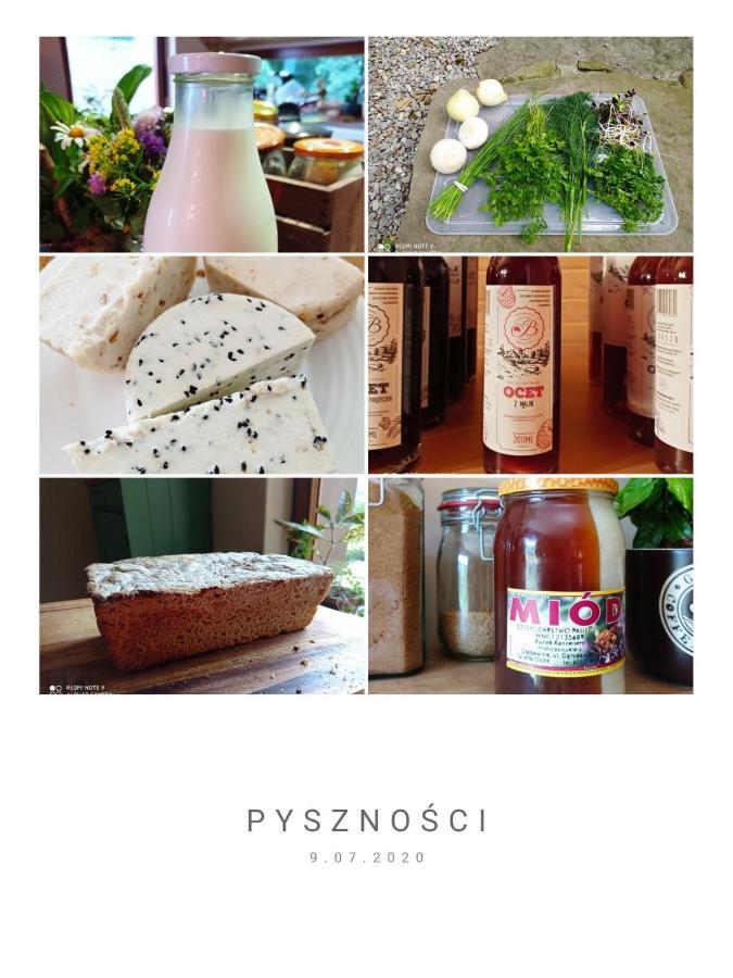 Osada Jelonki Wielka Puszcza Porabka
