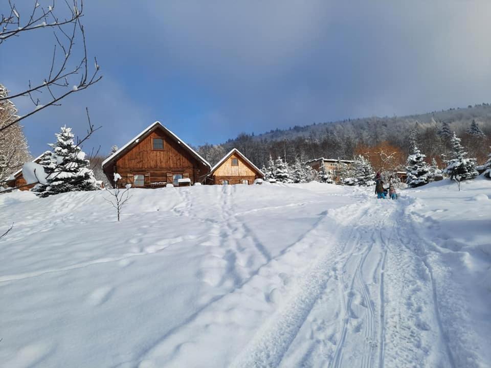 Osada Jelonki Wielka Puszcza Holiday home Porabka